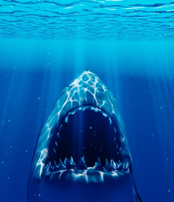Scientists have discovered that sharks nearly went extinct 19 million years ago.