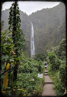 Our Rainy Hike to Waimoku Falls