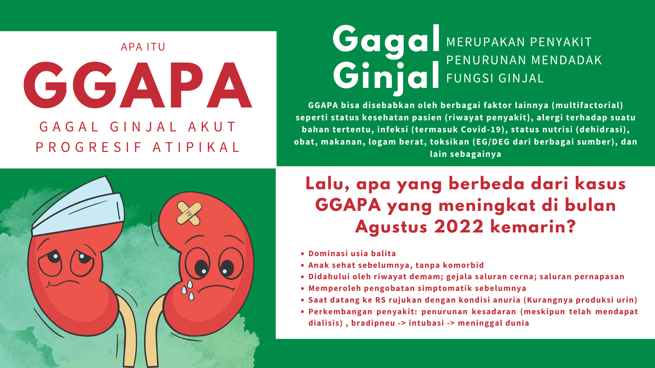 Apa itu gagal ginjal akut pada anak? Pengertian GGAPA