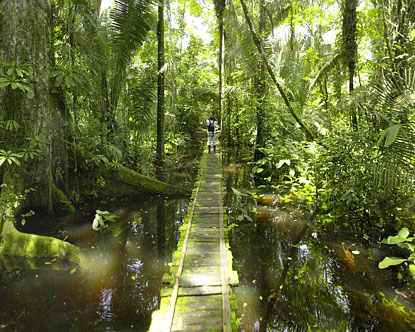 Amazon beach canopy