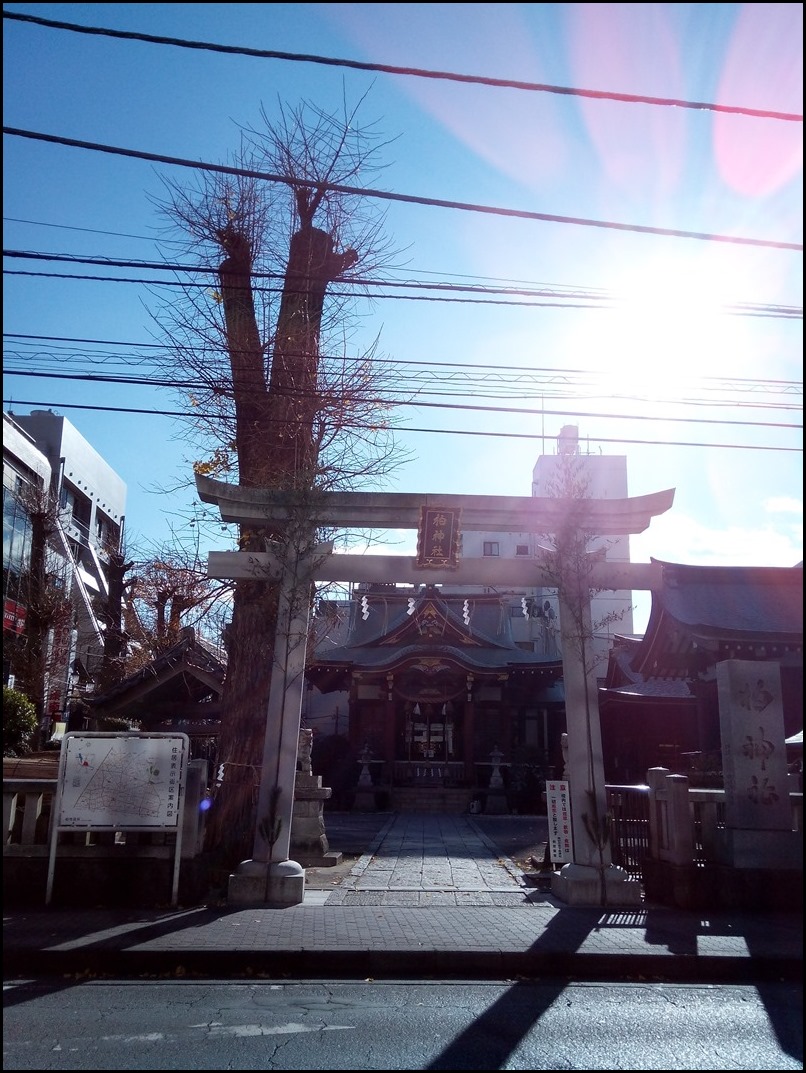 2015-12-27 10.03.08