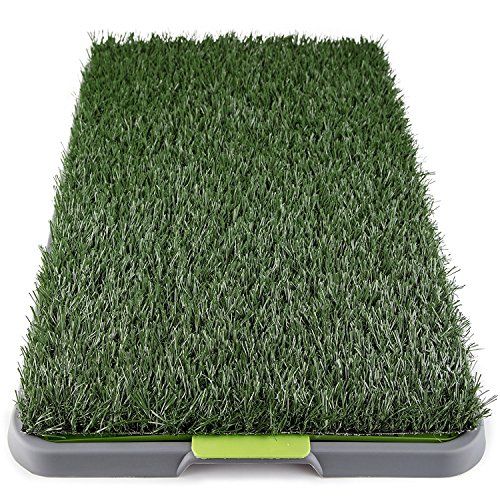 Reusable puppy pee pad for Shih Tzus – best 2025 apartment training option in the U.S.