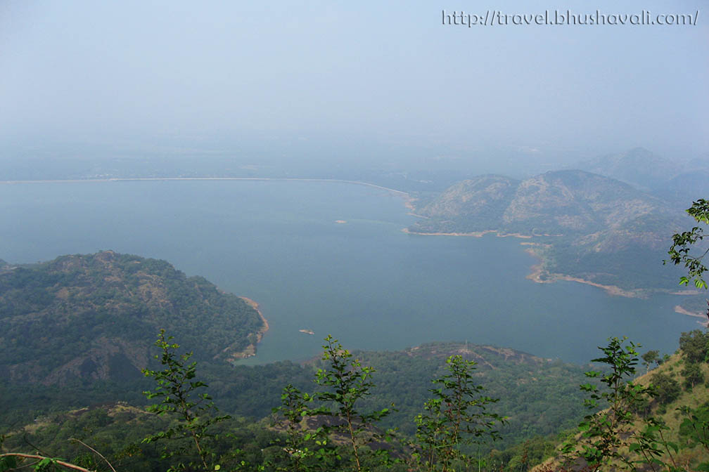 Vazhachal Forest
