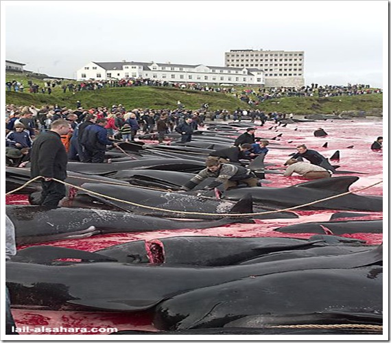 The Brutality of People of Denmark