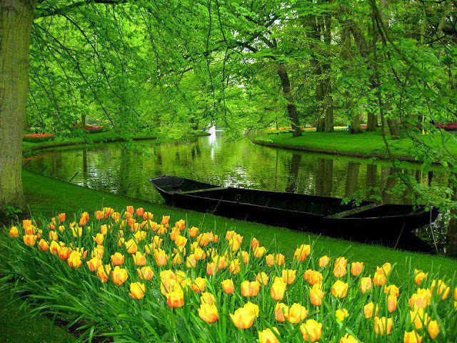 Keukenhof Gardens Lisse, Netherlands 