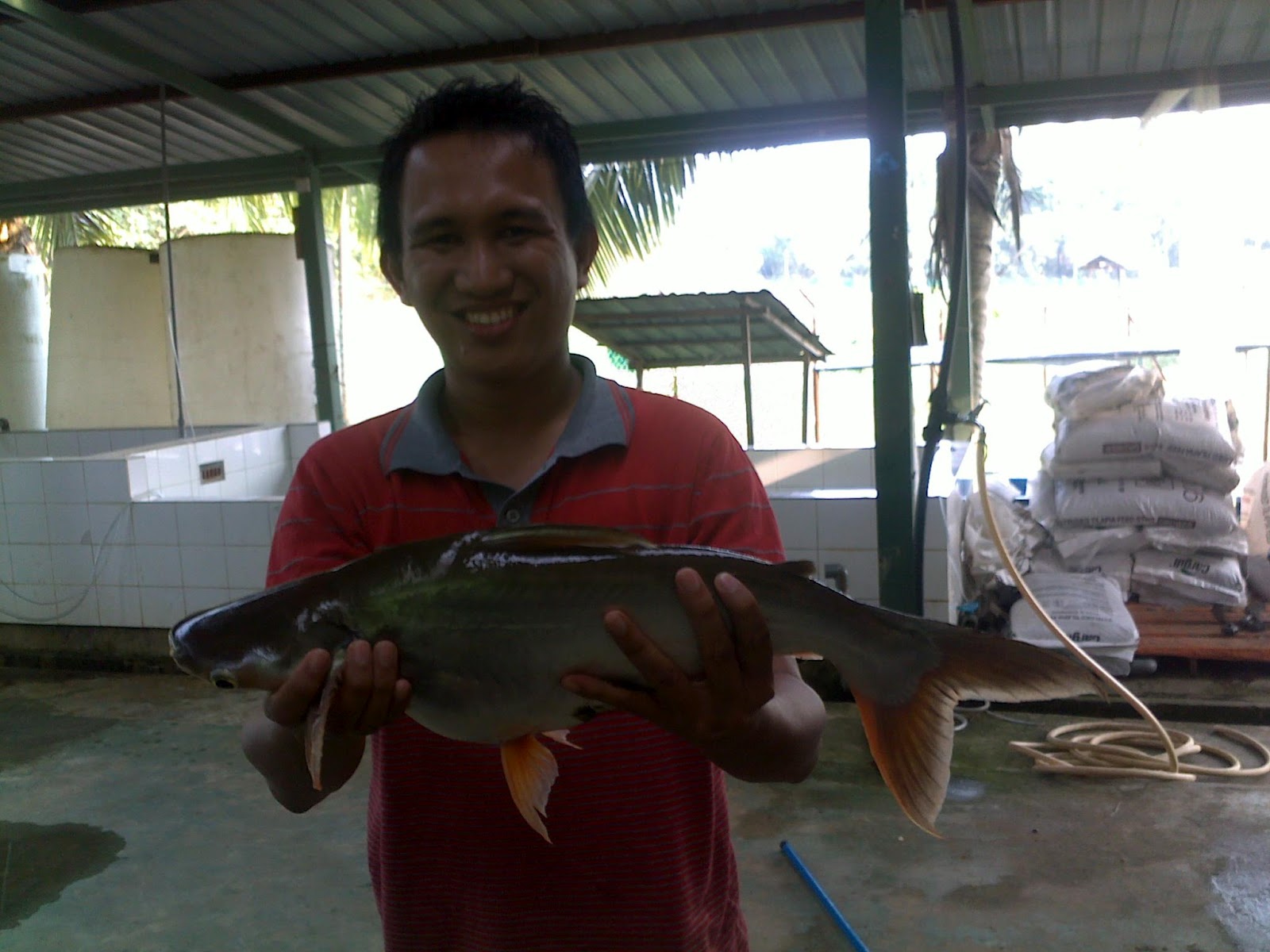 ViSiON of eArTH Ikan Patin