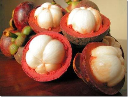 garcinia mangostana 1