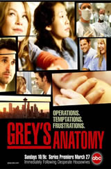 Greys Anatomy 8x04 Sub Español Online