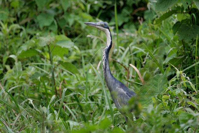 IMG_4063 (2) IMG_4063 (2)