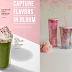 Starbucks offers limited edition of Cherry Blossom drinks with cozy tumblers and mugs