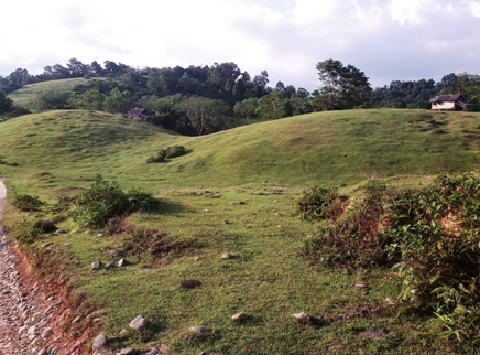 Gambar