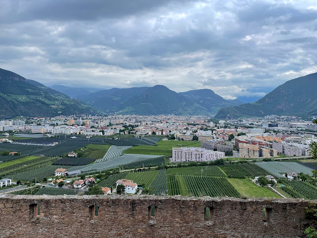 museo_messner_firmian_bologna