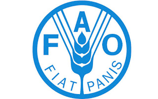 National Food Systems Specialist Job at FAO 2022
