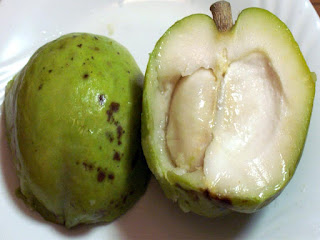 White Sapote Fruit Pictures