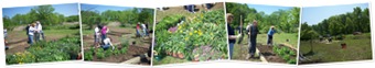 View Volunteers at Butterfly garden(May 2008)