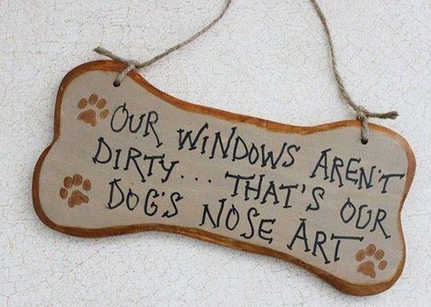 17 Hilarious Problems Dog Owners Will Relate To - Anyone who has windows and a dog knows this.