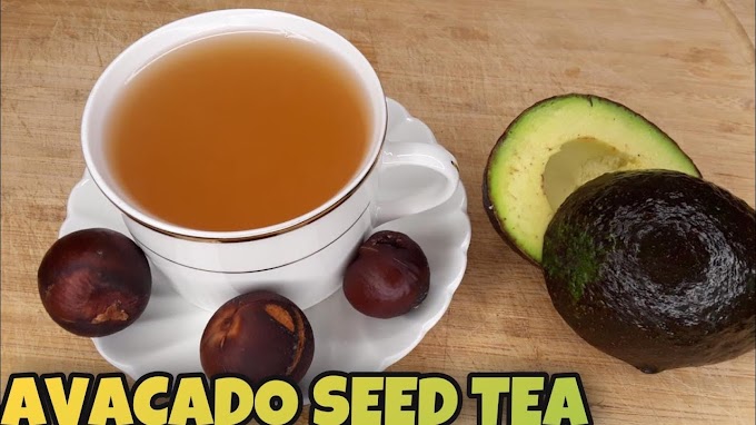  Step by step instructions to Prepare Avocado Seed Tea, Never Throw Away Avocado Seed Anymore.