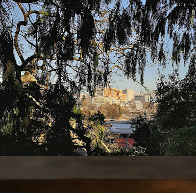 vista de prédios entre árvores