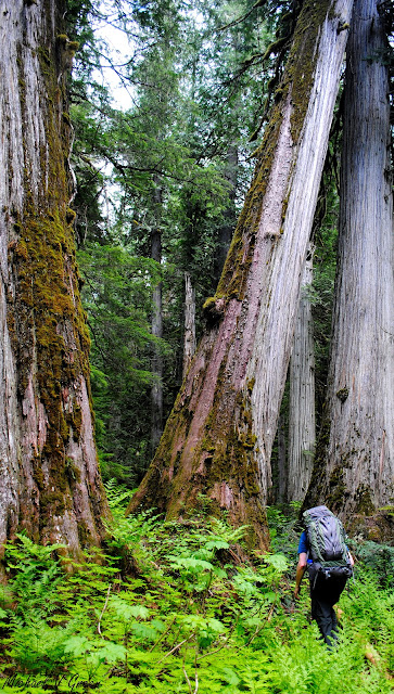 Upper Priest River