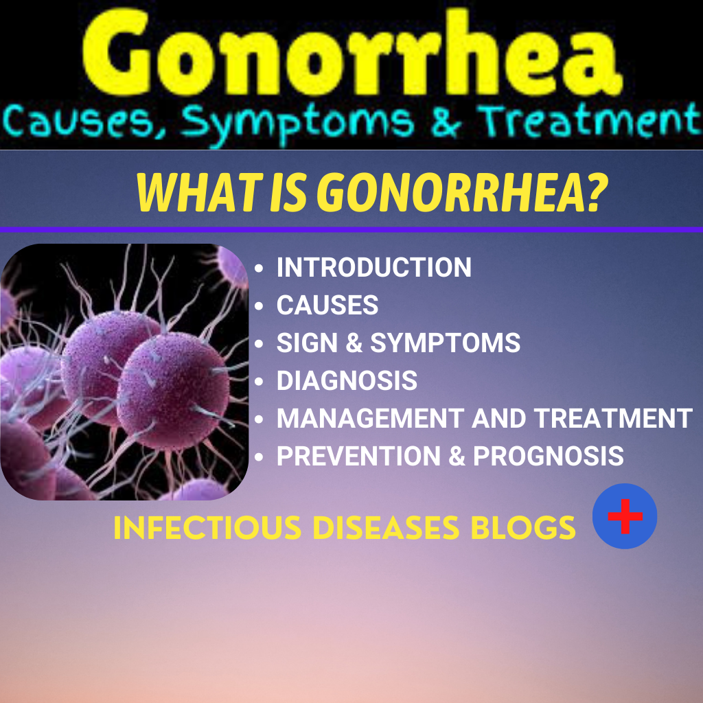 What is Gonorrhea(STI)?