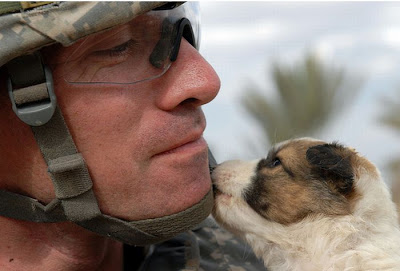 Soldiers with Pets Seen On www.coolpicturegallery.us