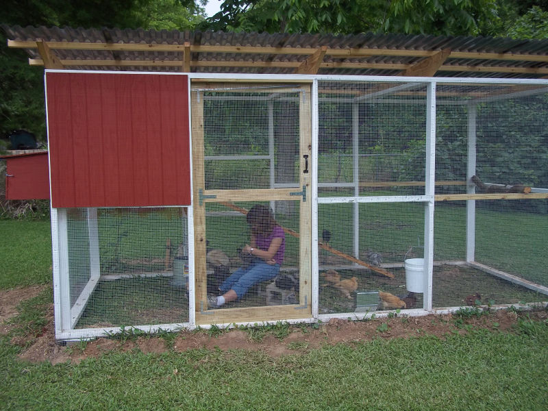 The finished coop with my oldest daughter playing with the chickens.