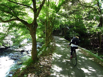 京都～坊村サイクリング