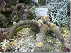 P1030163