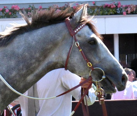 puissance de lune_head