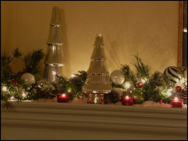 Blog Christmas 2010 010 (800x600)