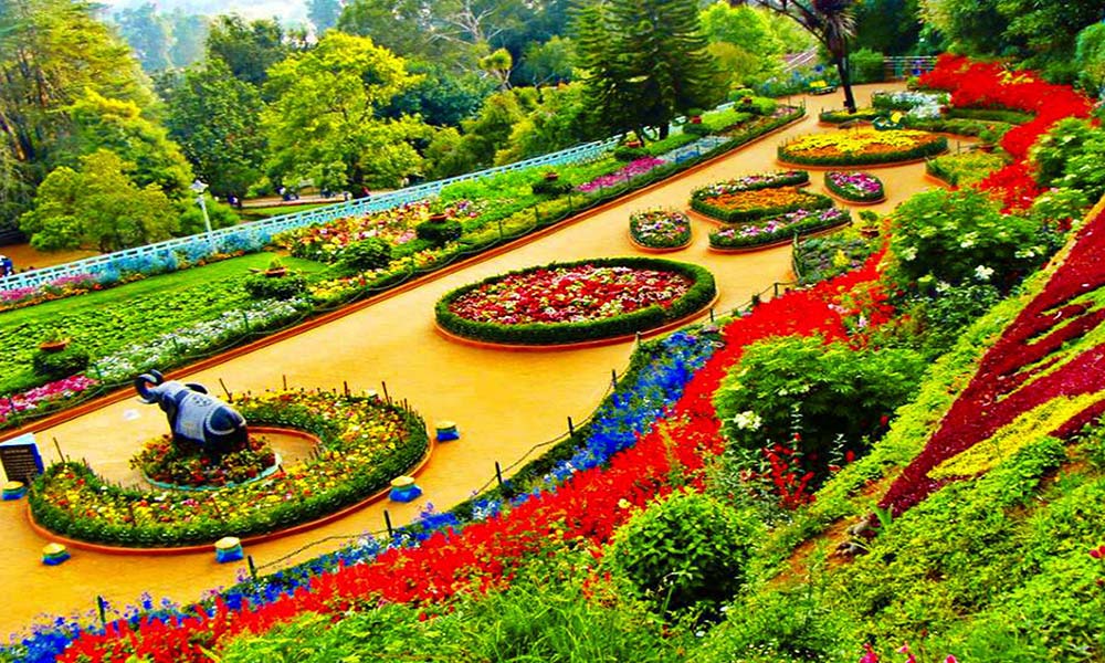 Government Rose Garden in OOTY