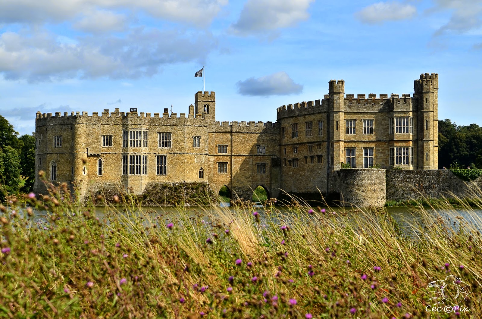 http://ceciletonneauphotography.blogspot.be/p/2014-08-09-leeds-castle.html