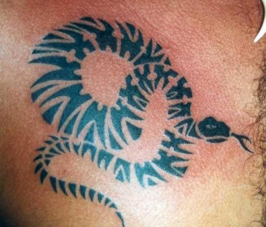 The first of my Tribal Snake Tattoos is beauty of a Snake Tattoo 