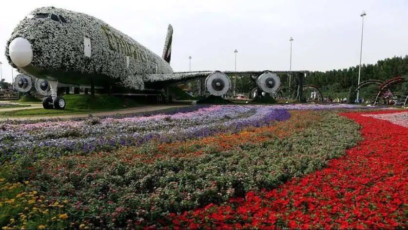 طائرة حديقة الزهور في دبي