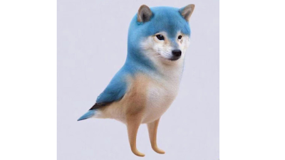Twitter Logo Change to Dog