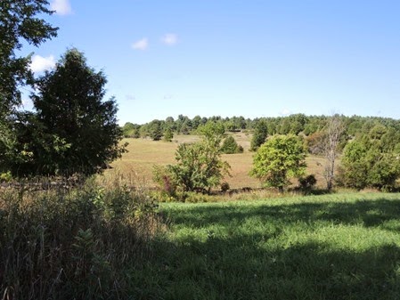 20140907_110525-watt-farm