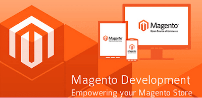 Professional Magento Development
