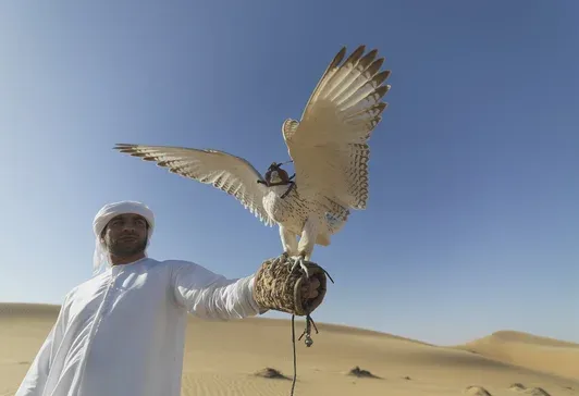 اغلي الصقور في العالم