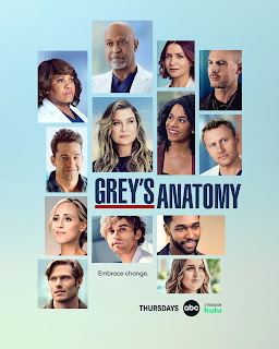 Greys Anatomy Temporada 19