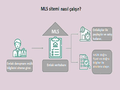 MLS nedir?