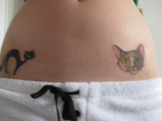 Tattoo Cat