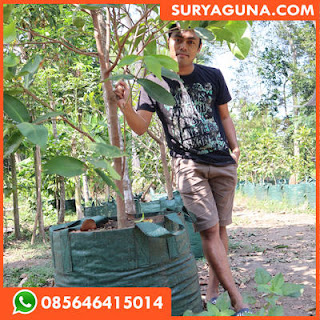 planter bag dari suryaguna 085646415014