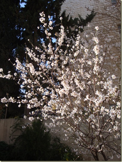 DSC06097