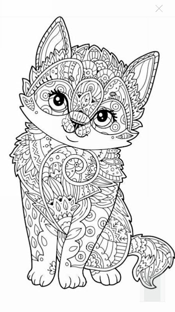  Cats Who Made Hilariously Poor Decisions Coloring Pages For  Adultscolouring 