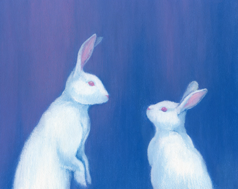 bunnies in love. Bunnies in Love