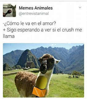 sigo esperando a ver si el crush me llama