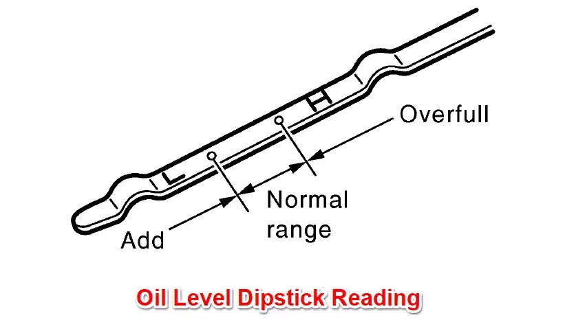 Free Car Diagnostic Image