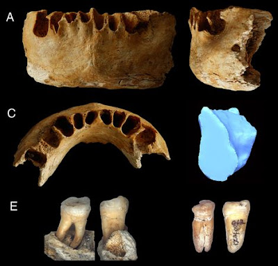 oldest modern human in China