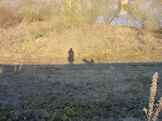 me and my shadow