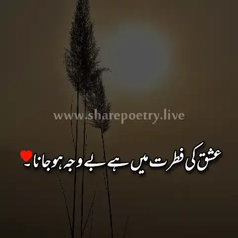 Deep Urdu Poetry 2 Lines immage 2023